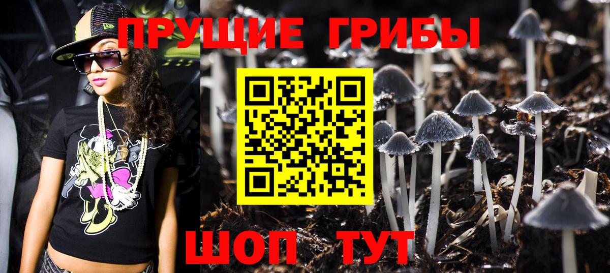 Санкт-Петербург  Галлюциногенные грибы прущие грибы  Вход с VPN 